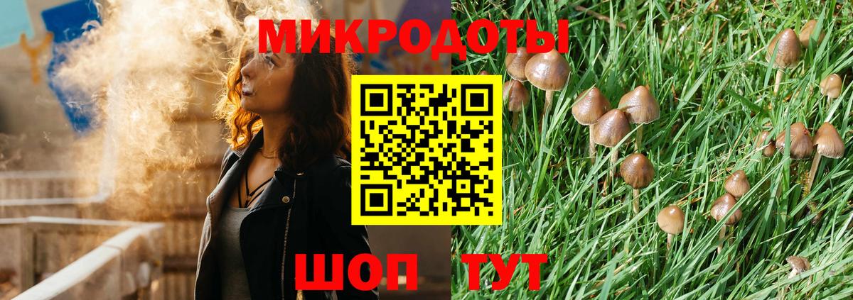 Псилоцибиновые грибы мицелий Отрадное