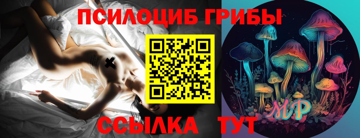 Галлюциногенные грибы GOLDEN TEACHER  купить наркотики цена  Галлюциногенные грибы Psilocybine cubensis  Отрадное  Вход с VPN 